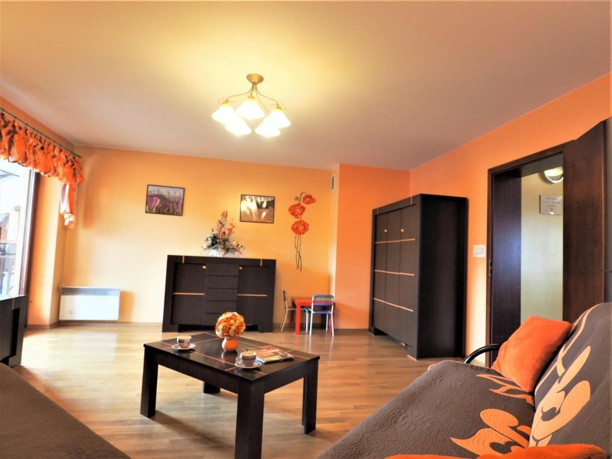 Апартаменты Apartament Widokowy Maki Закопане-38